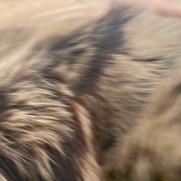 Jacket size small only wore twice - Picture 7 of 9